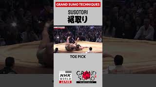 #Sumo Technique: SUSOTORI