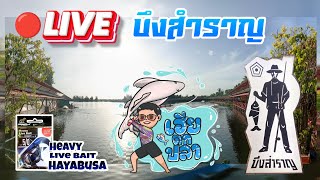 เฮียตกปลา Bear Fishing กำลังถ่ายทอดสด!ต่ามล่าหาพี่ใหญ่ต้นปี 4/01/2024 ณ บึงสำราญ