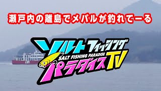 瀬戸内の離島でメバルが釣れてーる（ソルパラTV・第19回2021年2月4日放送）