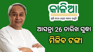 କାଳିଆ ଯୋଜନା ଆସନ୍ତା 26 ତାରିଖ ମିଳିବ ଟଙ୍କା , kalia yojona 26 tarikha miliba tanka