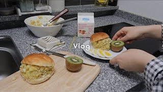 独居vlog 11   安静普通美好的日常生活分享  首尔的满月  日常饮食  疗愈的vlog