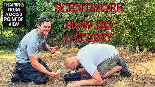 Scentwork - How Do I Start?