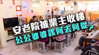 東張西望 | 安老院被逼結業 公公婆婆流離失所？