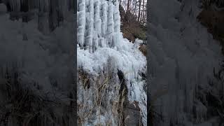 2024年1月26日　湧水広場の氷瀑