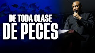 DE TODA CLASE DE PECES | STEVEN JAVIER PÉREZ