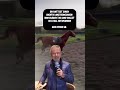 hast du tipps und ideen wie ich mich an die doppellonge mit pferd ran tasten kann 🐴