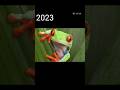 2023 Frog and 5000bce Frog||mythical biology||#shortfeed #animals #shorts #shortvideo