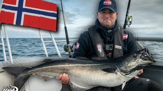 HUGE Coalfish In Remote Norway 😲🇳🇴🎣