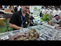 義男的生活日常 2024台中兩棲爬蟲盛典xcospal 2024 taichung amphibian and reptile festivalxcospal