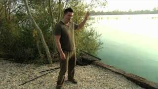 Gigantica carp lake swims - The Pink Stink