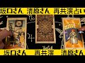 【お二人の再共演占い】リクエストで坂口健太郎さんと清原果耶さんの再共演をタロット占いしました。佐藤健占い、上白石萌音占い、松本潤占い、有村架純占い、横浜流星占い、フィギュアスケート占いもヨロシク