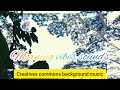 Creatives Commons Background Music Compilation