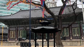 Jogyesa  Temple, Korea เที่ยววัดเกาหลีกัน #tourkorea #korean #jogyesatemple #เที่ยวเกาหลี #jogyesa