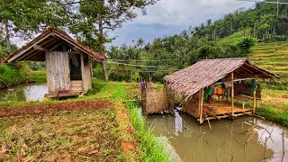 LUAR BIASA !! Aktivitas Warga Di Kampung Terpencil, Sejuk Indah Alam Desanya, Pedesaan Jawa Barat