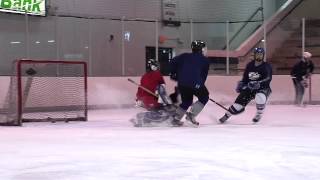 ADM 14U Hockey - American Development Model