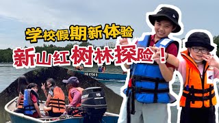 BOYO学校假期活动：新山红树林生态之旅好好玩！Johor Bahru Sungai Melayu Ecotourism Boat Tour