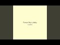 Forest Sky Lullaby