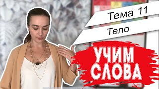 Английский. Начало. Учим слова - Тема 11 Тело