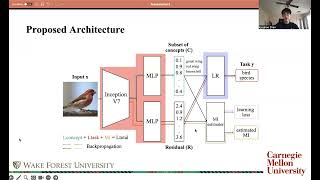 Limitation in Concept Bottleneck Models - Residuals and Vector Disentanglement | Konghao Zhao