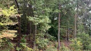 Lots And Land for sale - 6204 Bramblewood Dr, Hixson, TN 37343