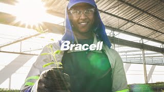 Bracell: two years of essential stories