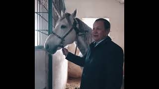 Намыскөк құны жоқ тұлпар🏇 1.000.000$ болса да сатпаймын!