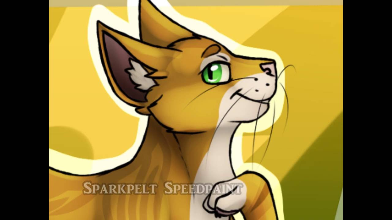 Warriors Speedpaint Sparkpelt Youtube