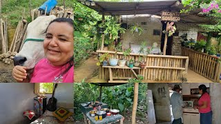 Farm routine cleaning the little house country lunch everything about the corner Ana Paula Alagoana