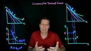 9.1.Compensated Demand