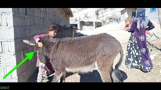 The wandering of Betul and her children in the mountains