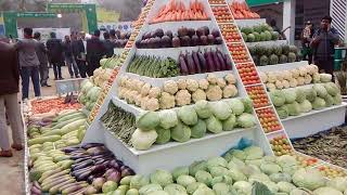 সবজি মেলা ২০১৮/ vegetable fair/ Sobji mela/ জাতীয় সবজি মেলা||Sobji mela 2018|