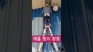 애플 힙을 중요성