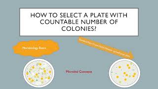 How to select plate with countable number of colonies? | Microbiology basics