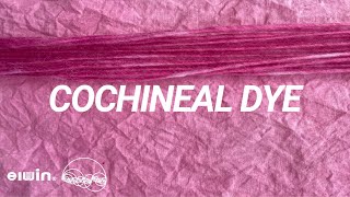 Art of Cochineal dye, Natural bug dye | elwin®