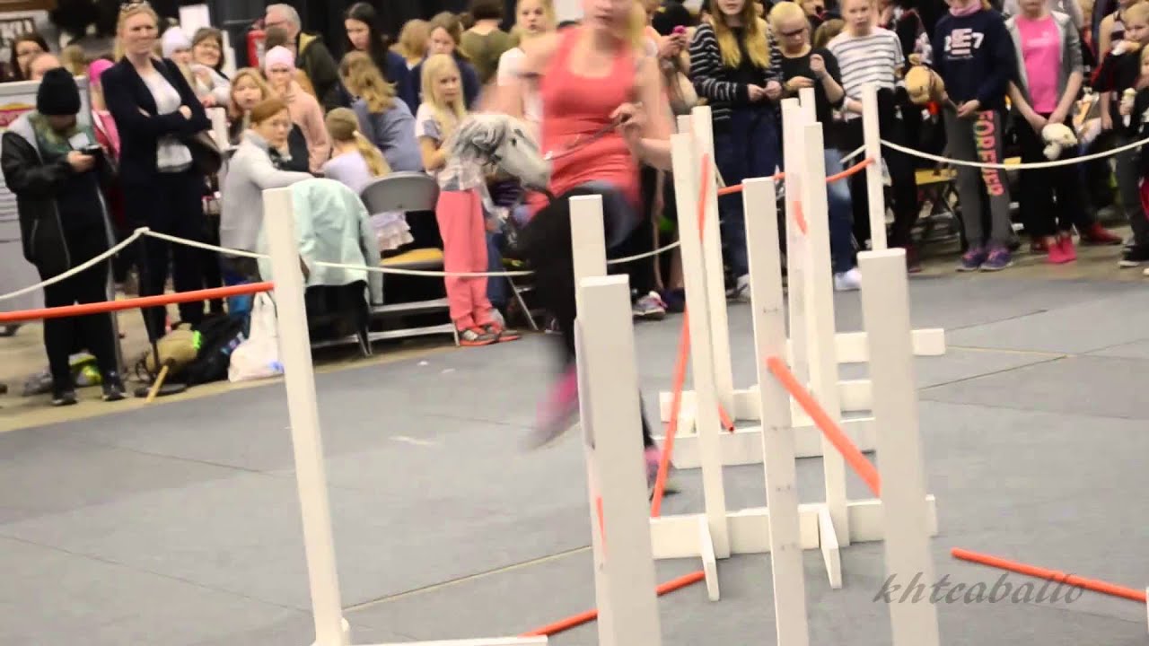 Keppihevosten Sm 2015 Youtube