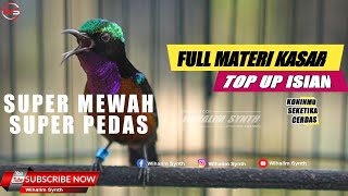 SUPER MEWAH SUPER PEDAS !! KONIN GACOR FULL ISIAN MEWAH COCOK UNTUK MASTERAN KOLIBRI NINJA KAMU !!