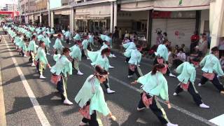 第61回よさこい祭り本祭2日目(2014/8/11)「凛夏」