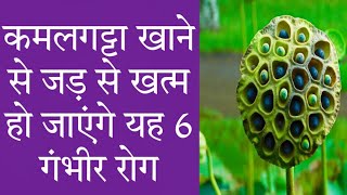 कमलगट्टा खाने के फायदे | Benefits Of Eating Kamal Gatta In Hindi |