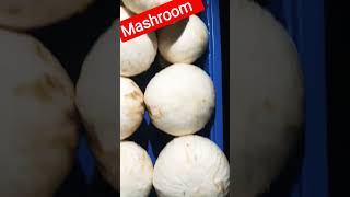 #Mashroom it is very marvelous, || Generally it very more that proteins are available in markets