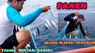 HARVESTING‼ FISH IS LIKE DRYING‼ Fishing Rintak/Sabiki #AnglerUmmumar