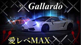 ドリスピ 3台目の愛レベMAX車!? 愛車レベルMAX(100)のガヤルドとランダムバトル