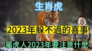 【生肖虎】2023年幸運之事！躲不過的喜事！生肖屬虎人2023癸卯年需注意什麼？#运势 #2023 #生肖 #生肖運勢 #生肖财运 #虎ベル