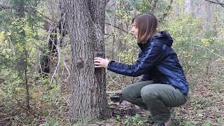 Camera Trapping for Research