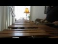 Mbira Song by Alice Gomez and Marilyn Rife