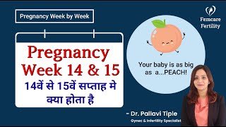 14th & 15th week of Pregnancy -Pregnancy week by week in hindi| Dr. Pallavi | Femcare Fertility