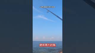 大家注意看 這男人太狠了#釣魚#亮片#shorts#環帶錦魚