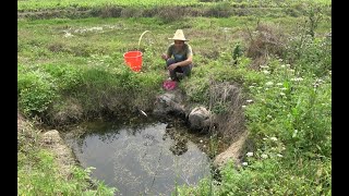 深潭野钓，这样的田间小深潭简直就是鱼窝，阿才野钓惊喜一个接一个，真过瘾【村野啊才】