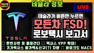 테슬라 모든 차량에 FSD 배포! 정말 눈치 없고 이상한 기가 포르투갈 루머