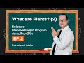 SPT+ Learning Space | What are plants? (2) | Science – Intensive ประถม 1 Ep.2