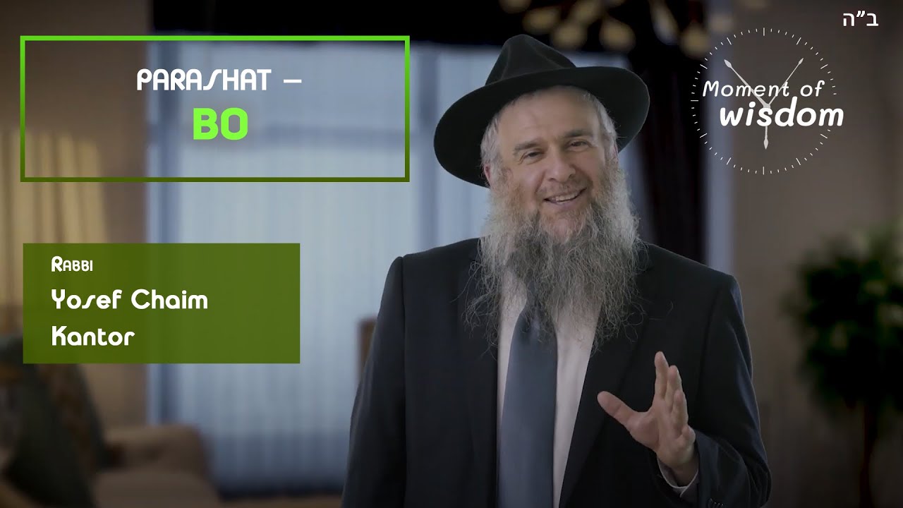 Rabbi Yosef Chaim Kantor | Parashat ’Bo’ - YouTube